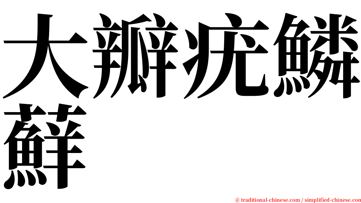 大瓣疣鱗蘚 serif font