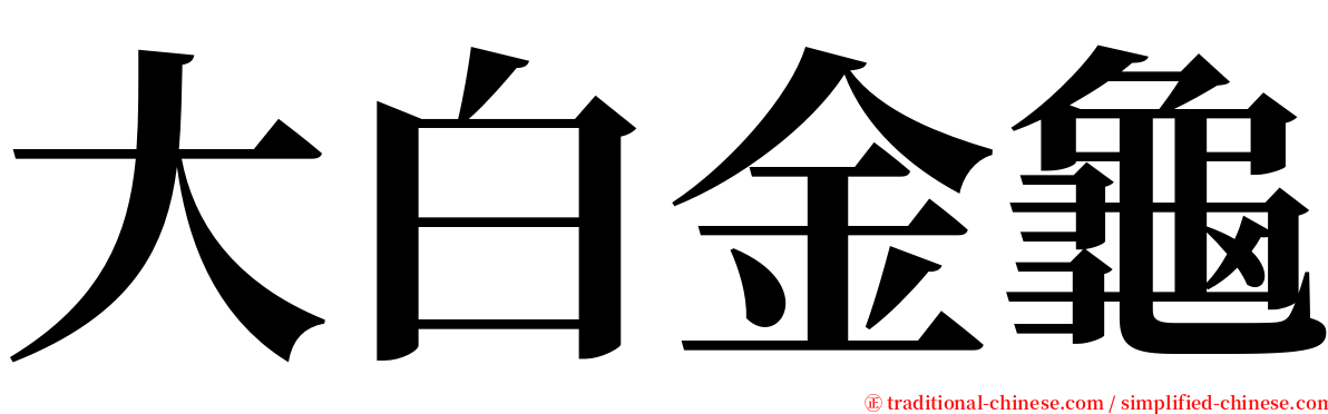 大白金龜 serif font