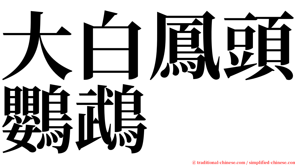 大白鳳頭鸚鵡 serif font