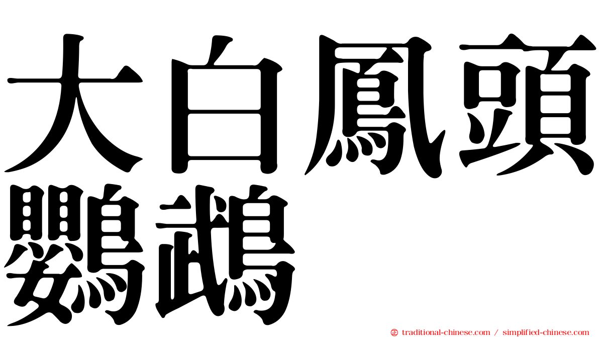 大白鳳頭鸚鵡