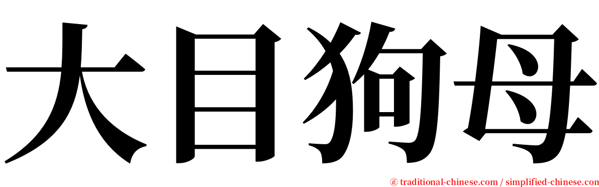 大目狗母 serif font