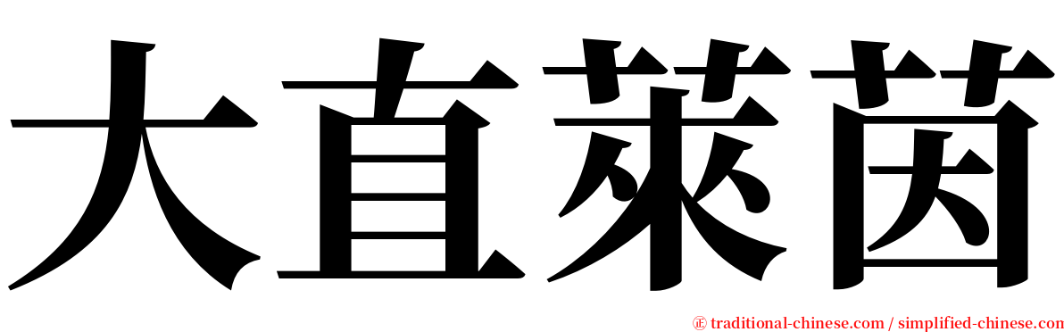 大直萊茵 serif font