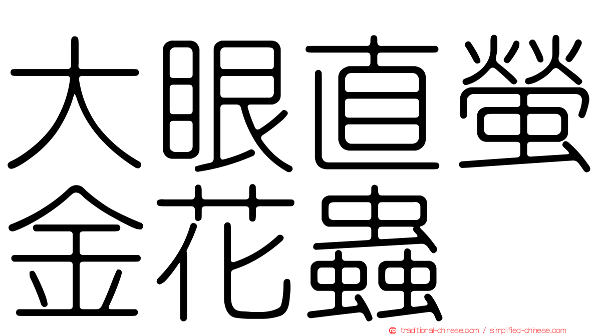 大眼直螢金花蟲