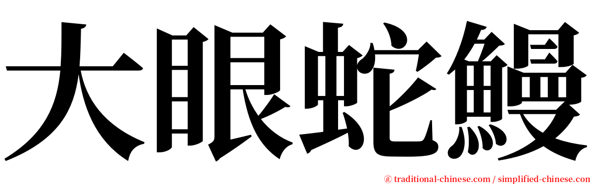 大眼蛇鰻 serif font