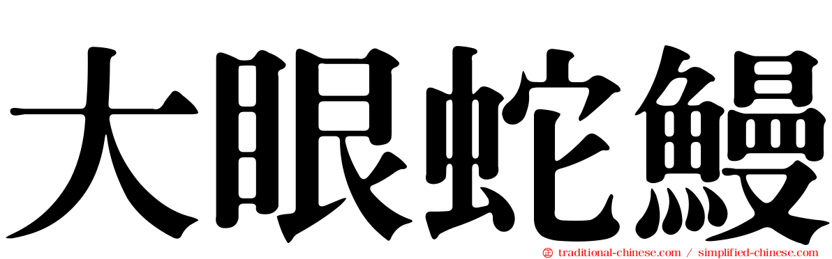 大眼蛇鰻