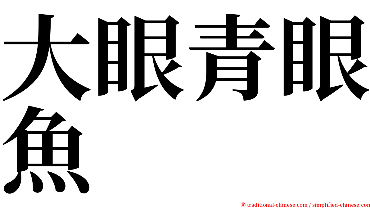 大眼青眼魚 serif font