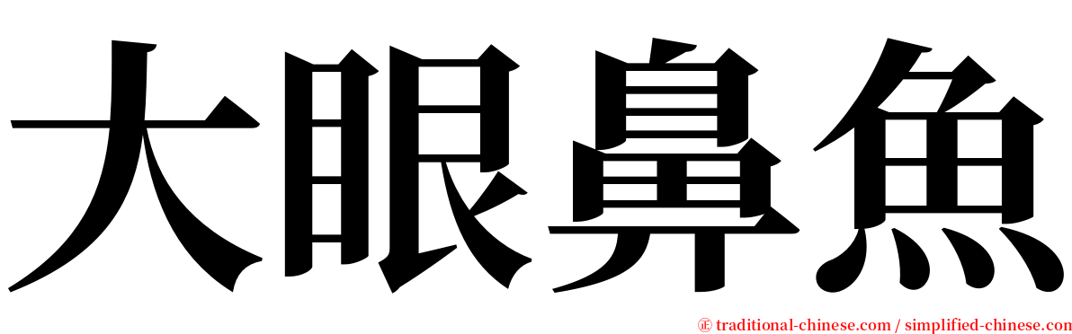 大眼鼻魚 serif font