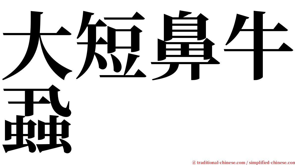 大短鼻牛蝨 serif font