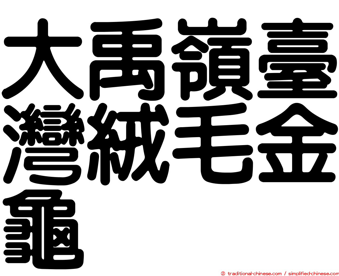 大禹嶺臺灣絨毛金龜