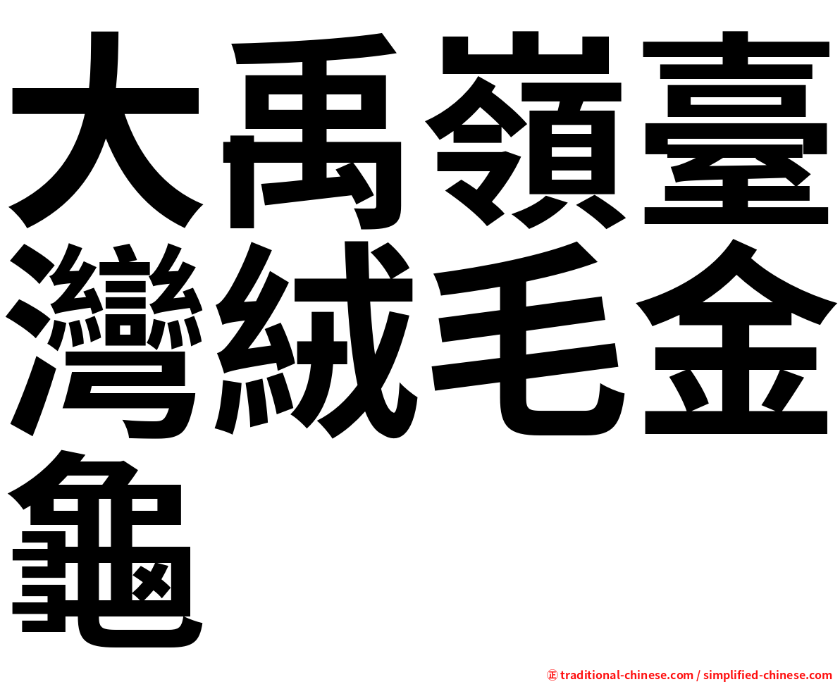 大禹嶺臺灣絨毛金龜