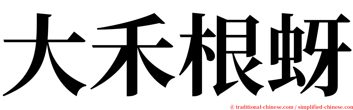 大禾根蚜 serif font