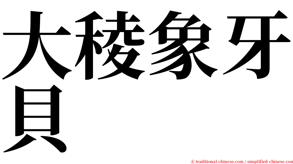 大稜象牙貝 serif font