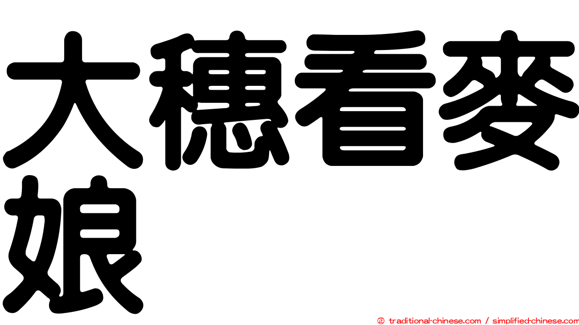 大穗看麥娘