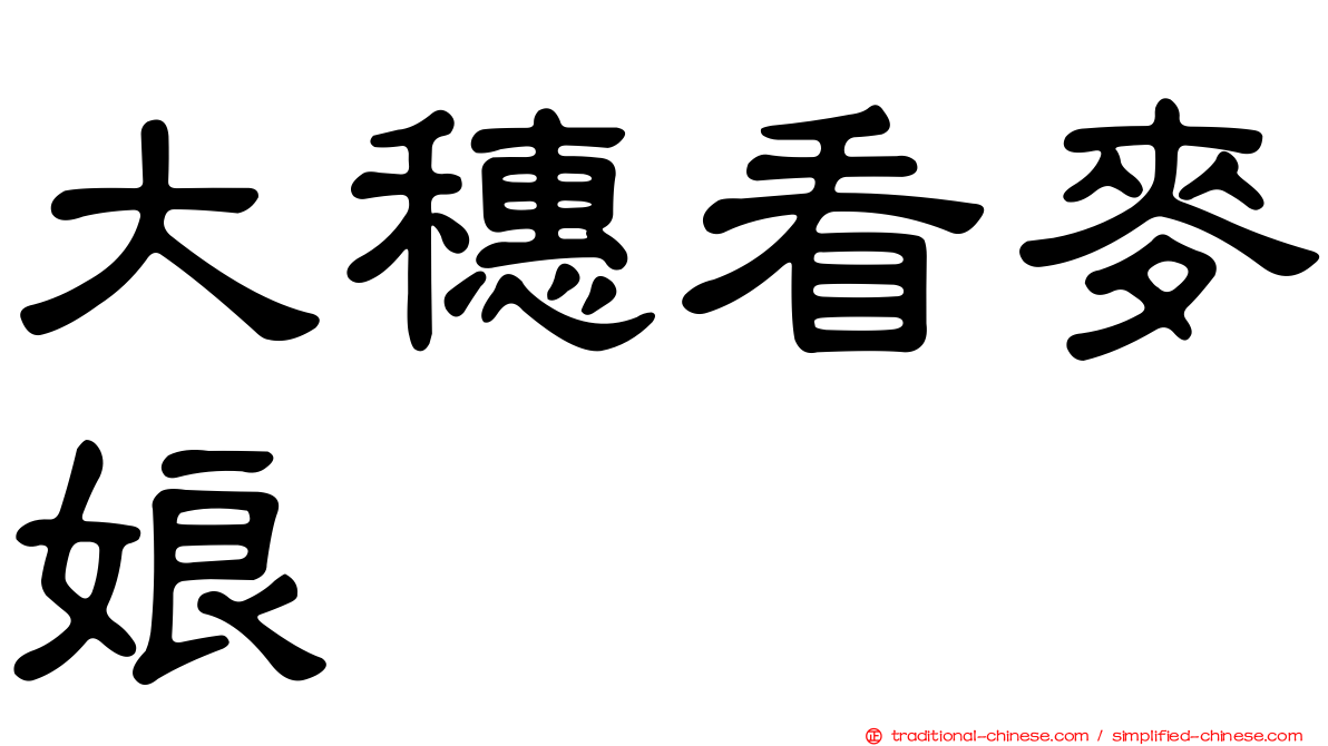 大穗看麥娘