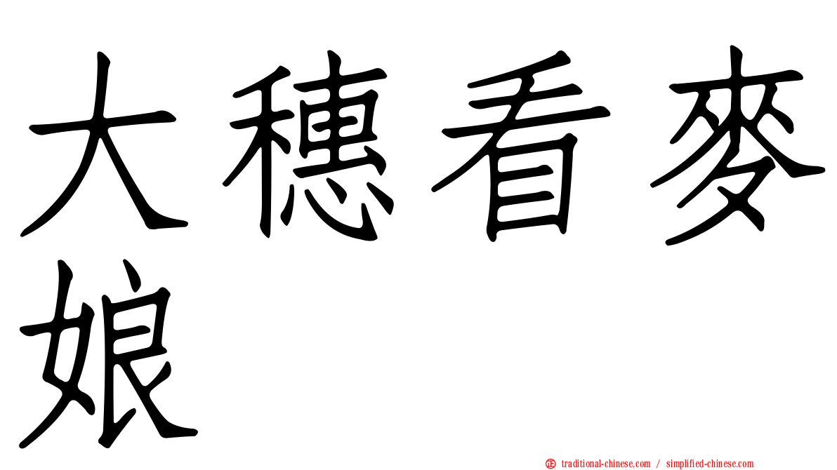 大穗看麥娘