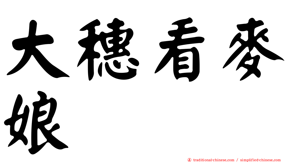 大穗看麥娘