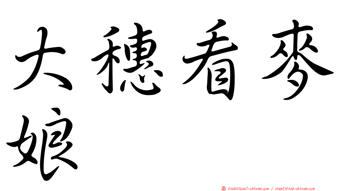 大穗看麥娘