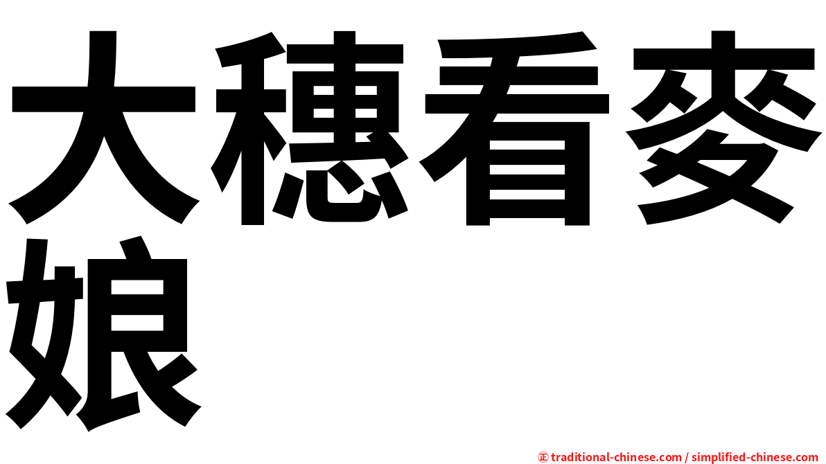大穗看麥娘