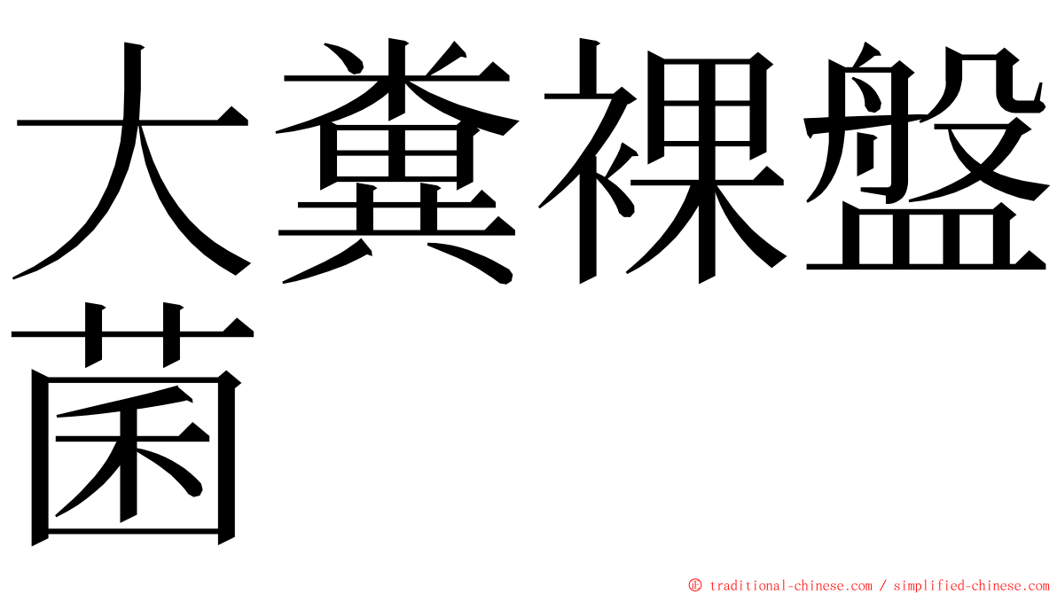 大糞裸盤菌 ming font