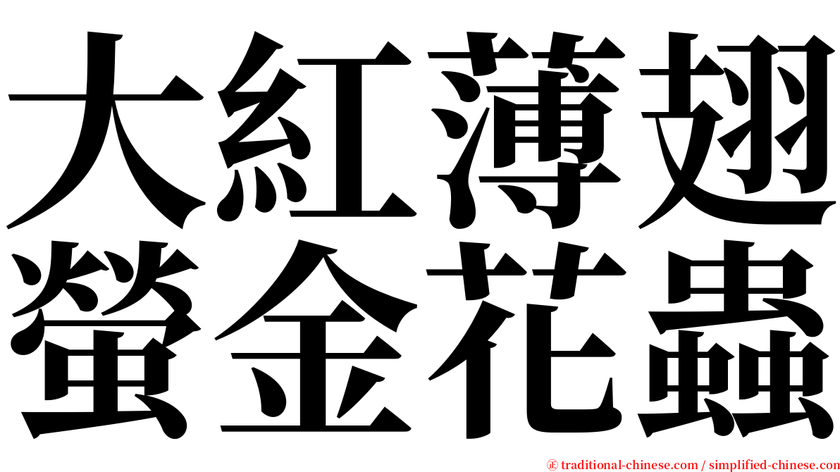 大紅薄翅螢金花蟲 serif font