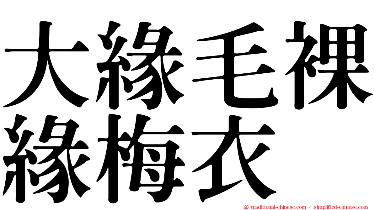 大緣毛裸緣梅衣