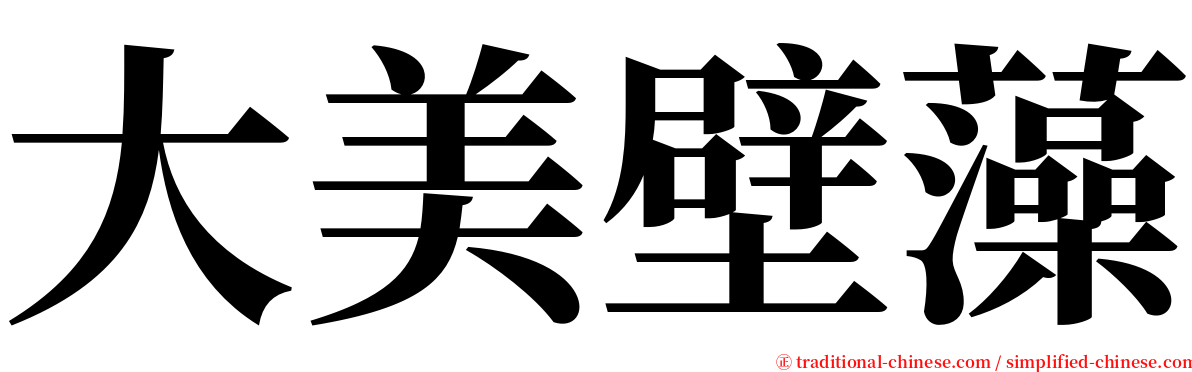 大美壁藻 serif font