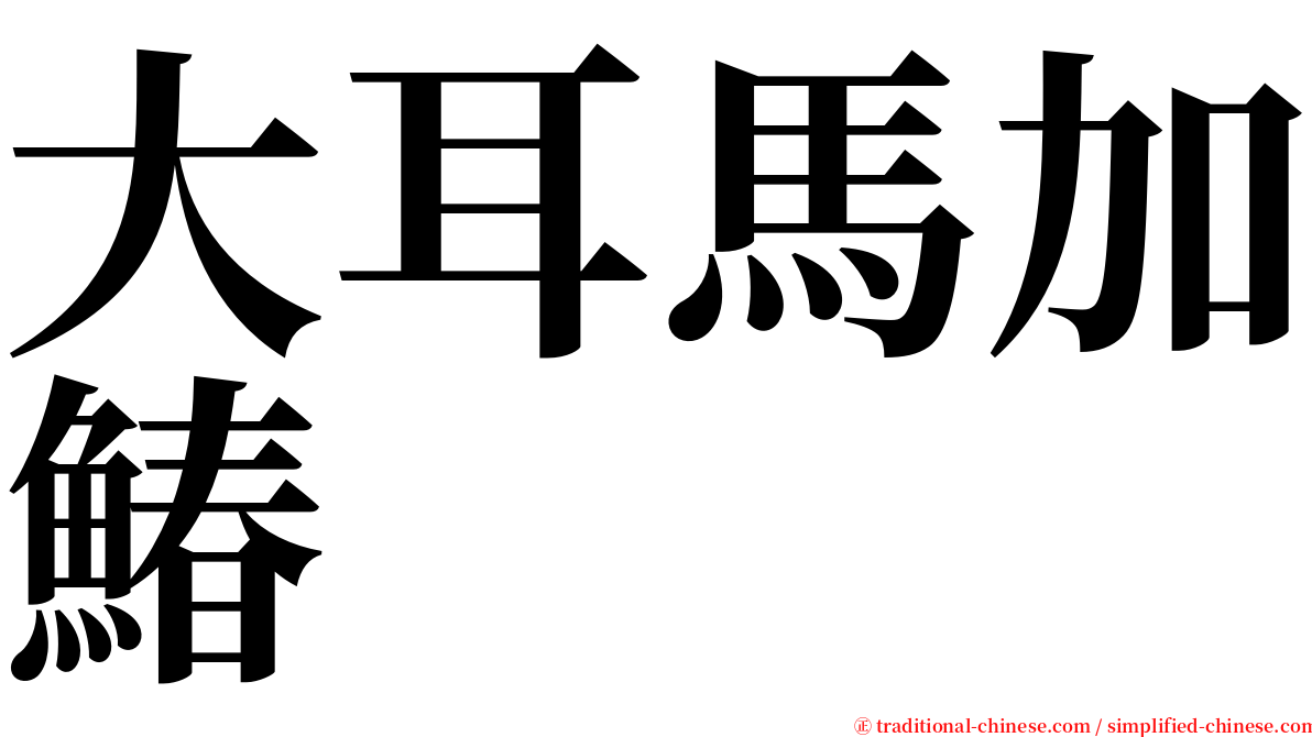 大耳馬加鰆 serif font