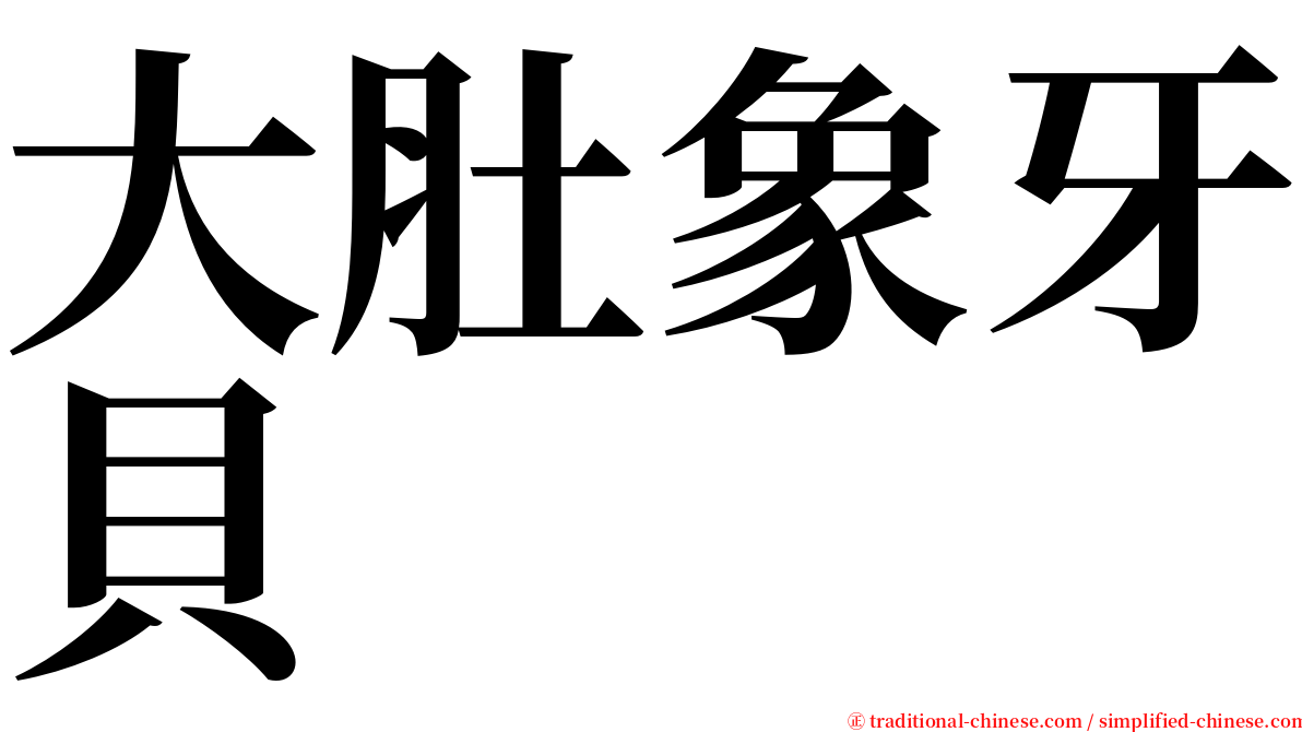 大肚象牙貝 serif font