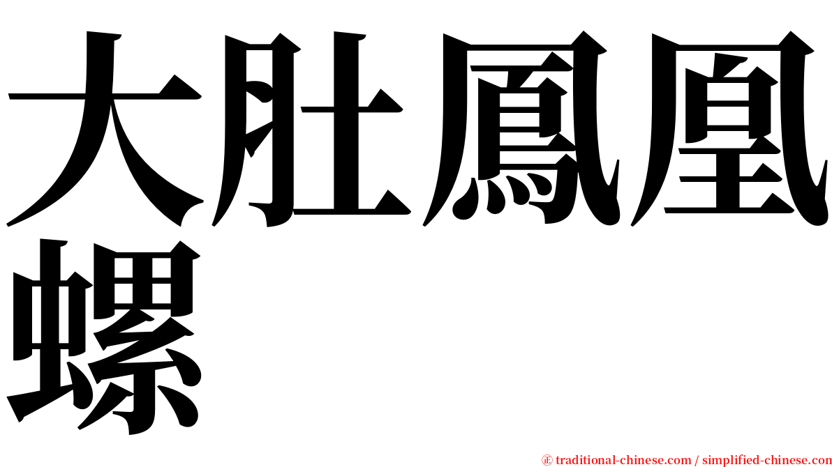 大肚鳳凰螺 serif font