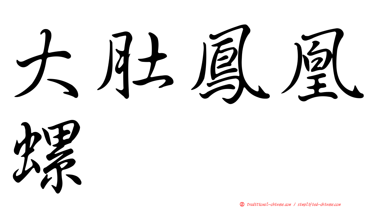 大肚鳳凰螺