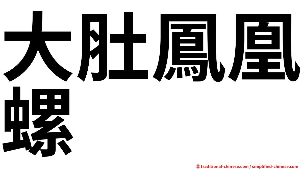 大肚鳳凰螺