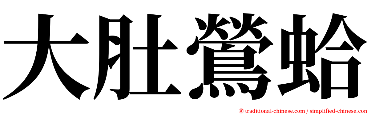 大肚鶯蛤 serif font