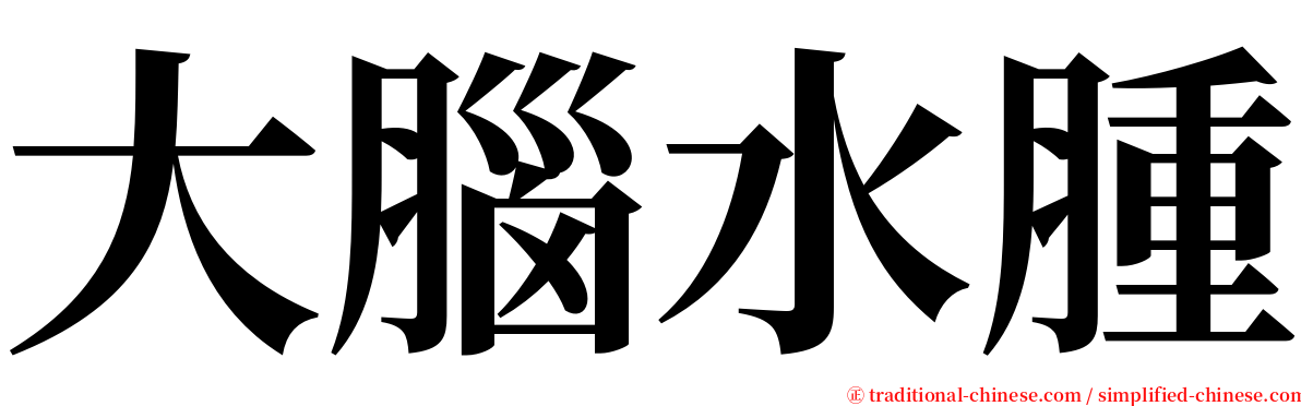 大腦水腫 serif font