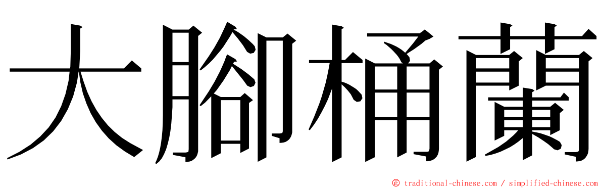 大腳桶蘭 ming font