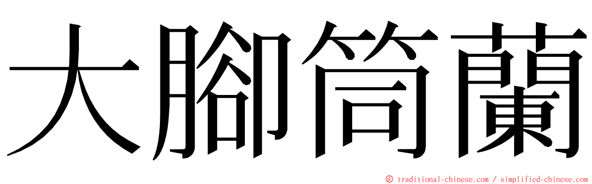 大腳筒蘭 ming font