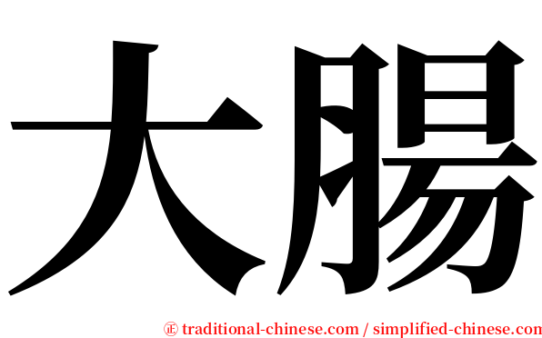 大腸 serif font