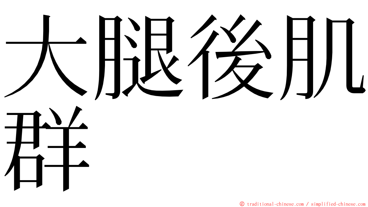 大腿後肌群 ming font