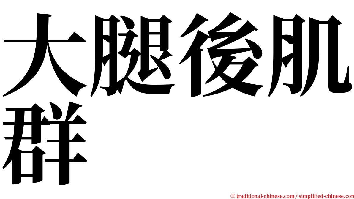 大腿後肌群 serif font