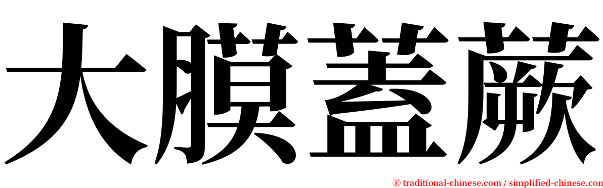 大膜蓋蕨 serif font