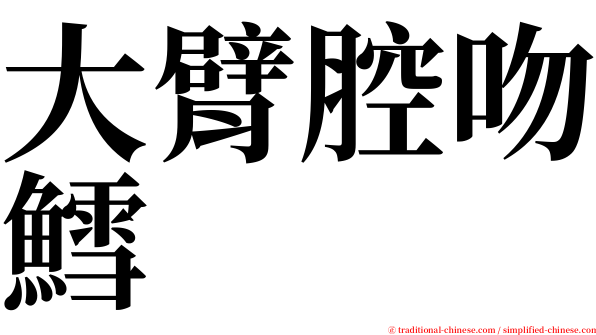 大臂腔吻鱈 serif font