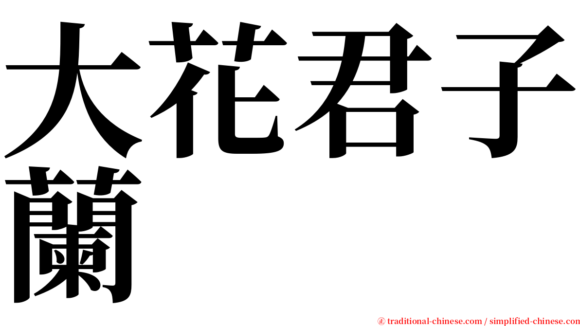 大花君子蘭 serif font