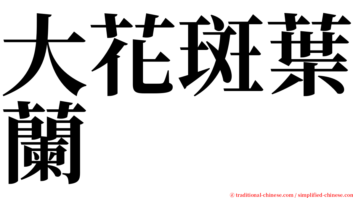 大花斑葉蘭 serif font