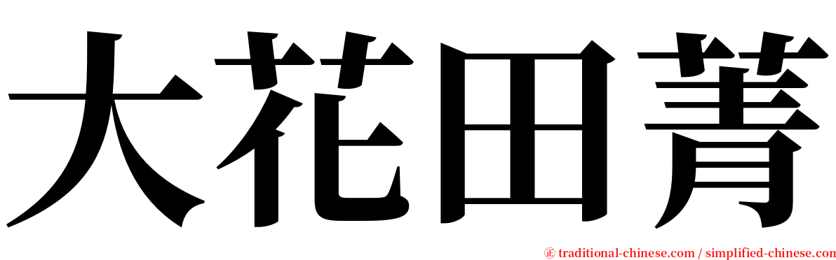 大花田菁 serif font