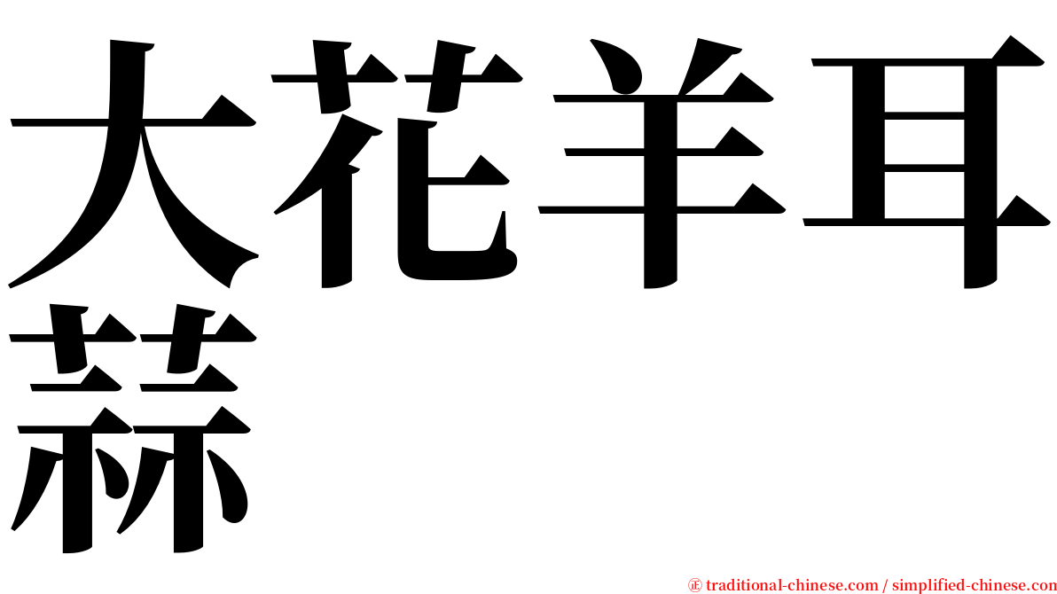 大花羊耳蒜 serif font