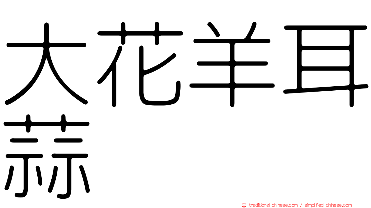 大花羊耳蒜