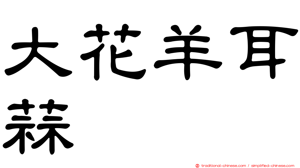 大花羊耳蒜