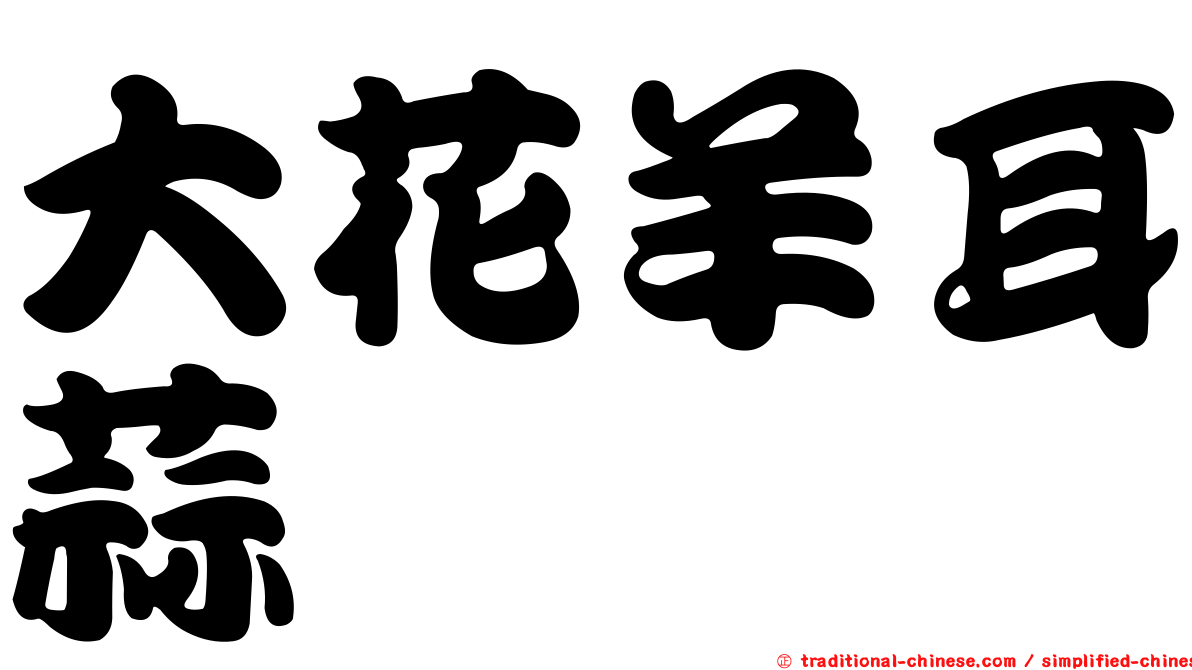 大花羊耳蒜