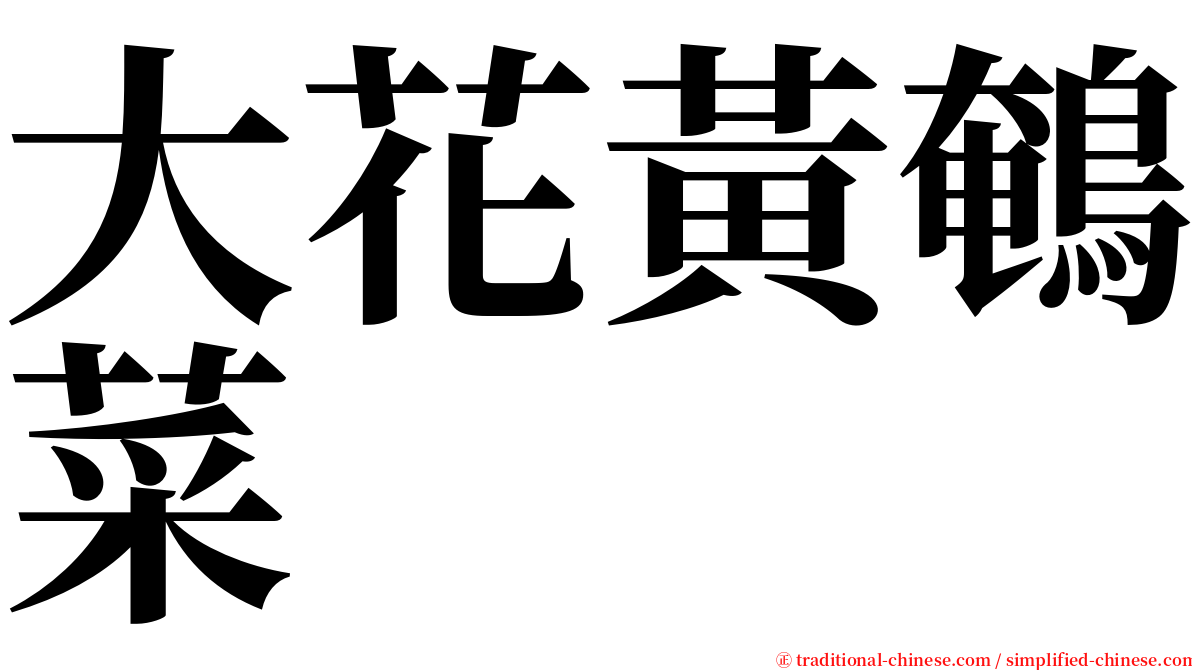 大花黃鵪菜 serif font
