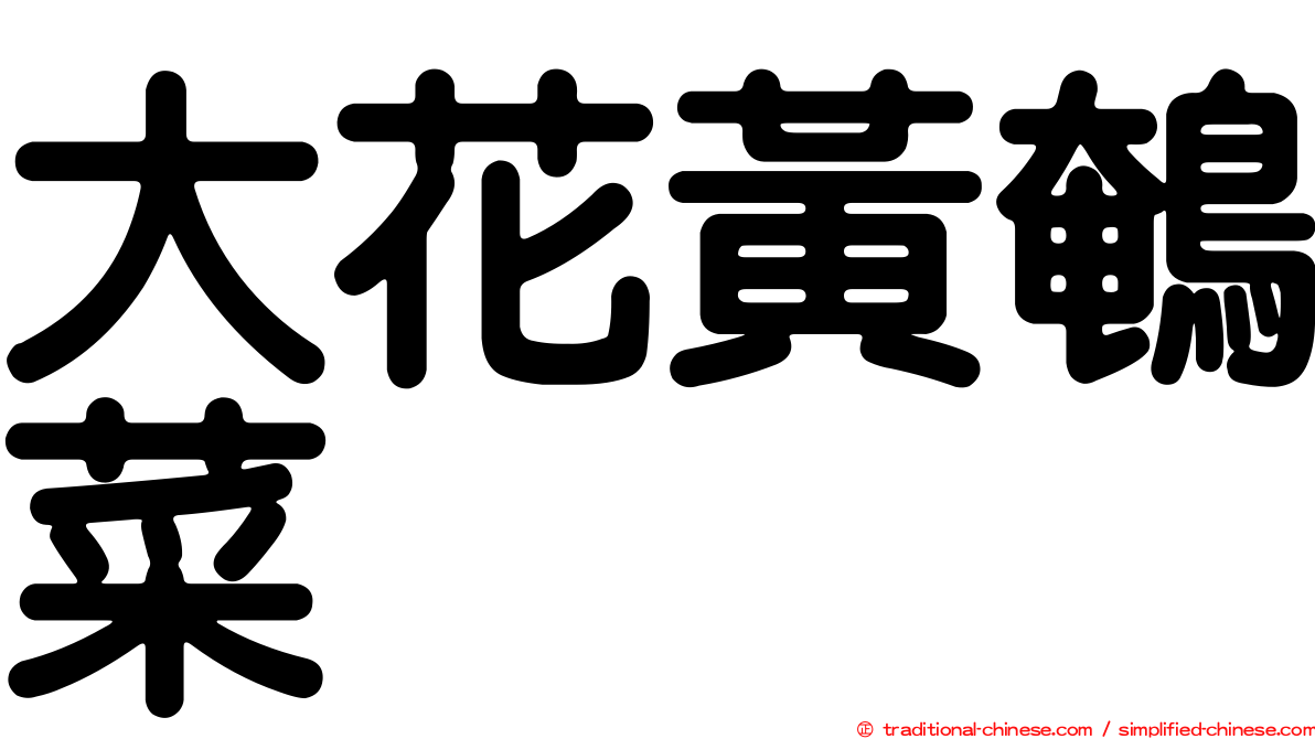 大花黃鵪菜