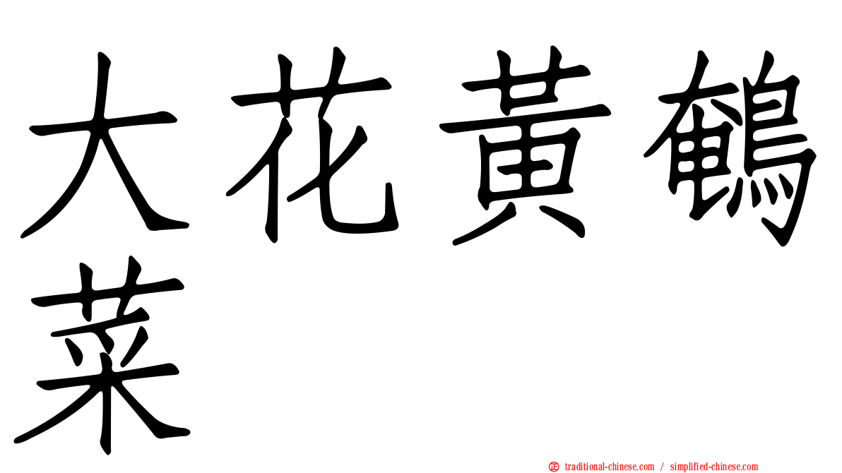 大花黃鵪菜